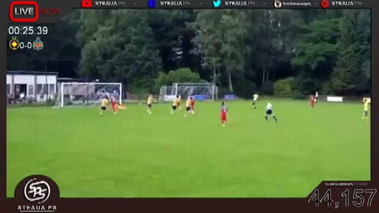 Steaua 1:0 Waasland-Beveren (5 July Friendly Match)