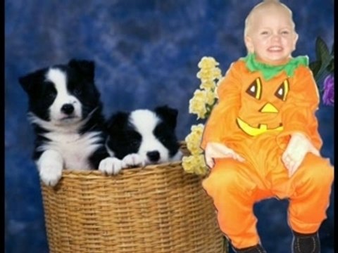 Les amours de toutes une vie