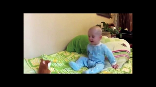 Baby vs Talking Hamster