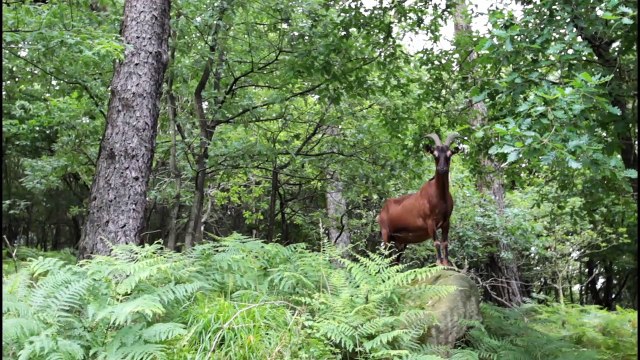Etape n°1 de la route des cols : Pasaia - Sare