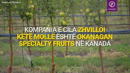 Kjo është molla që nuk kalbet për tri javë