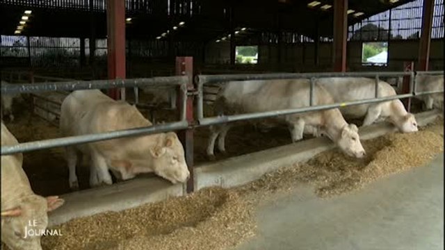 Les Etablières: Une ferme expérimentale pour l'élevage futur