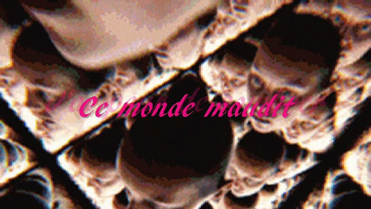 DE MA FOLIE