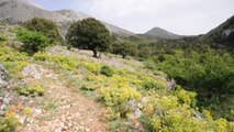 VEN.28-4-17- PARCO DELLE MADONIE IN SICILIA 7 GIORNO CON LA LUNGA TRAVERSATA DEL MONTE DEI CERVI (1794 METRI).