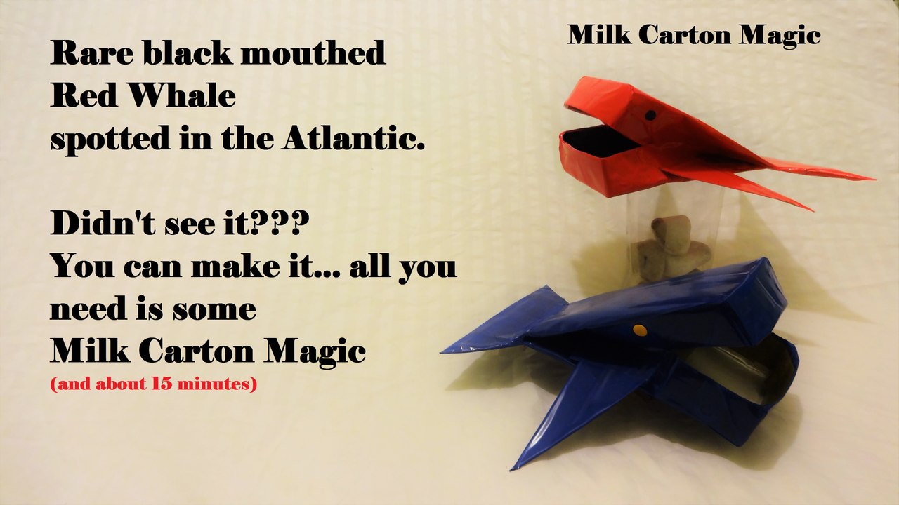 Blue Whale or Baleia Azul? Game on for a whale of a time making your own whale.