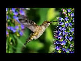 50 AMAZING ANIMAL PHOTOS