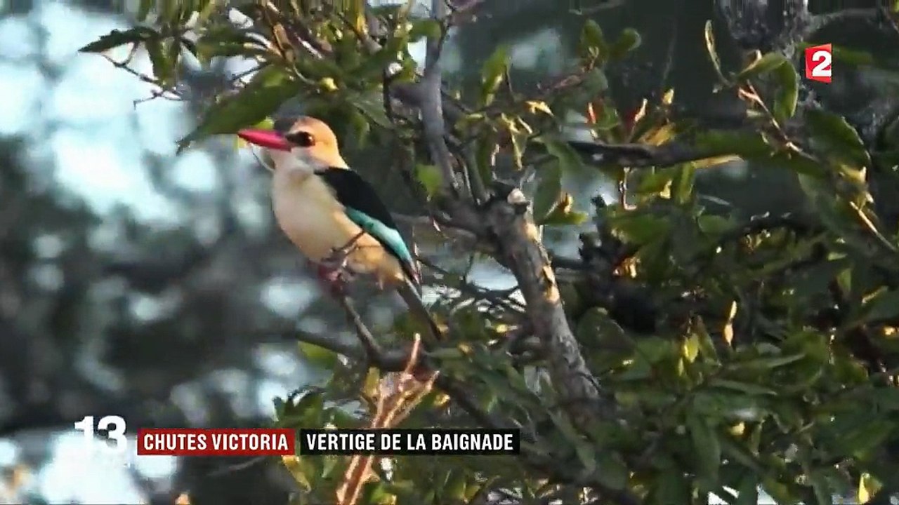 Chutes Victoria : la baignade aux grandes sensations