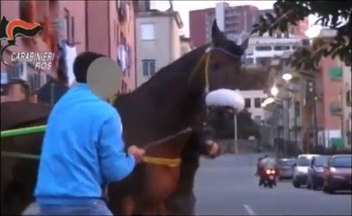 Messina - cellula mafiosa su appalti e scommesse: 30 arresti