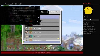 Cache cache minecraft avec les poto (65)