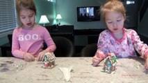 Elsa Toddler iews Makes Elsa A Beautiful House & It