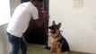 How To Train Your Dog to BARK ,  BARKING in Hindi _ dog training in india