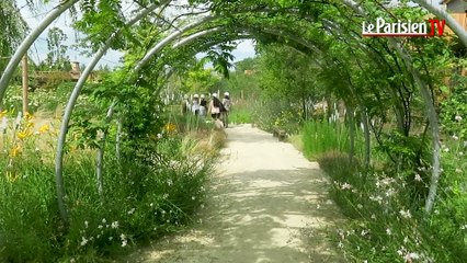 Villeneuve-le-Comte : les Villages Nature sont presque prêts