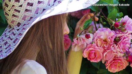 A Good Sense Of Smell Could Be Why That Weight Isn't Coming Off