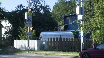 Driver Fights Speeding Ticket Over 'Too Wordy' School-Zone Sign  and Wins