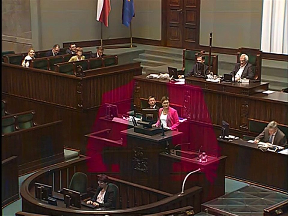 Katarzyna Lubnauer - 20.06.17