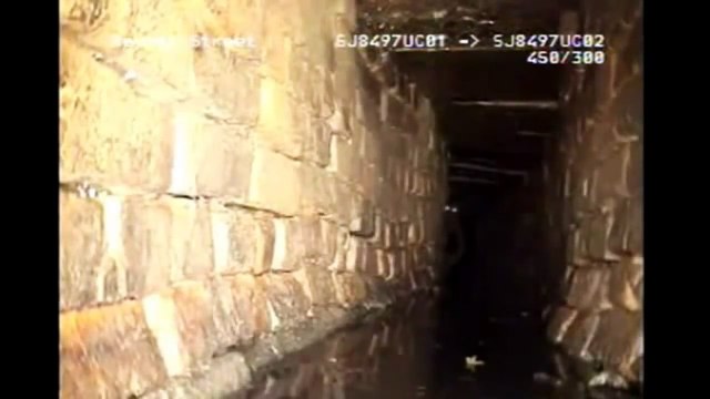 Criaturas Extrañas Captadas En Video