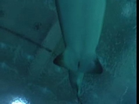 Nos vacances en Espagne 1