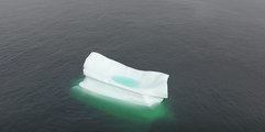 Stunning Drone Footage Captures Images of Icebergs off Newfoundland