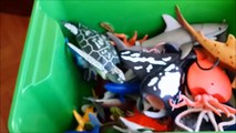 Shark Toys Kids Toy Box Sea Anials Toy Whales sea turtles caretta car