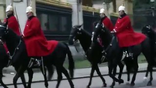 BOY ESCAPES ROYAL FAMILY AT BUCKINGHAM PALACE - 100% PROOF PEDOGATE PIZZAGATE IS REAL! MUST WATCH!