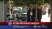 Woman Arrested in Connection with Hit and Run That Killed 1, Injured Several Others