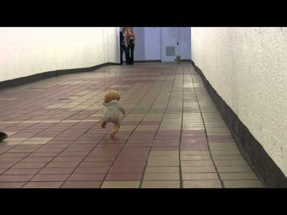 Women Experience Real-Life Horror Film After Nightmarish Encounter With Creepy Puppet Baby