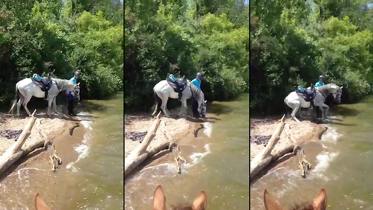 Cheval vs Eau