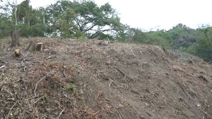 Buscan eliminar decreto que atenta contra el merendon