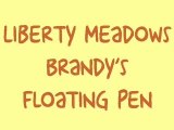 Brandy Liberty-Meadows nude naked butt floating pen novelty