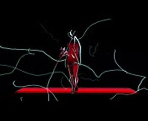 Dina Lynnyk SS17 Intro-190547753_mpeg4