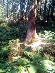 Magical Moutains 1
