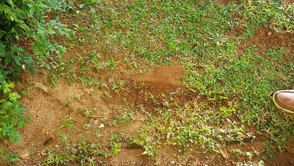 Esmagando objetos com Imãs SUPER PODEROSOS!