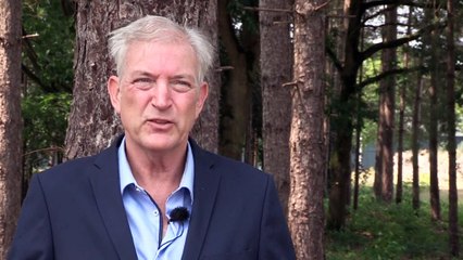 Zangles van Kees Taal