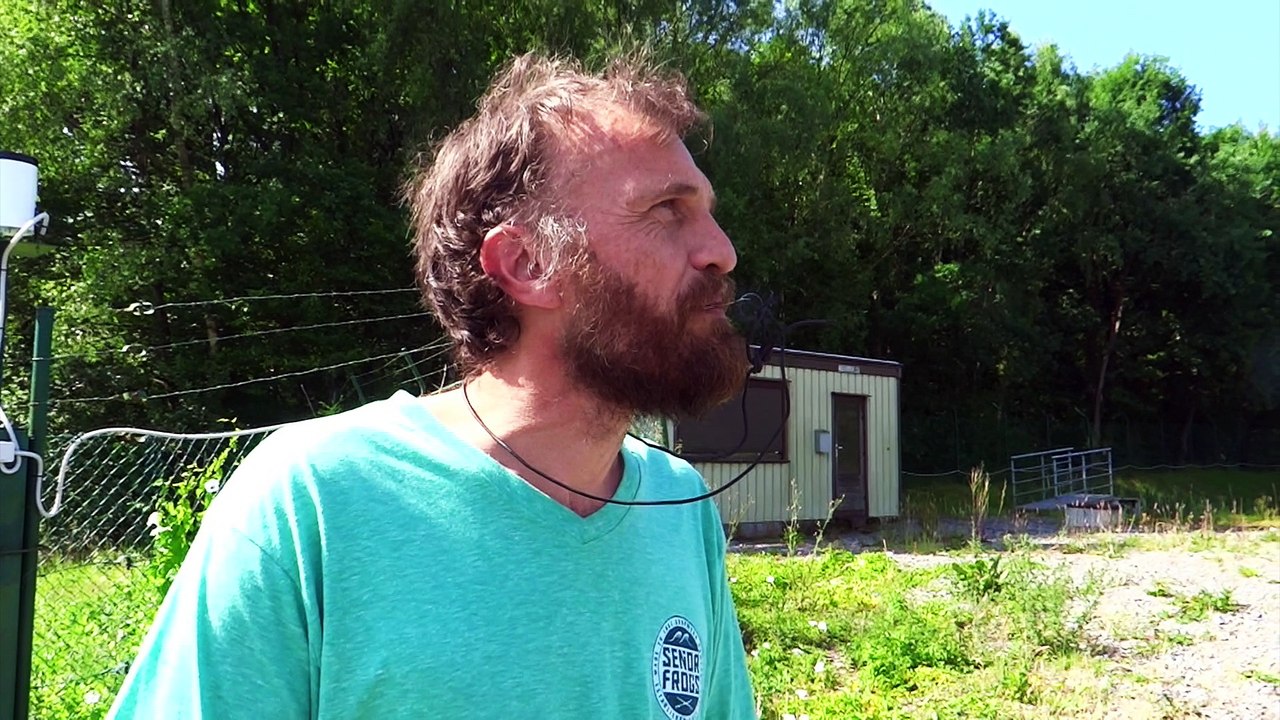 Florennes: les moutons de l'ancienne décharge surveillés par un berger