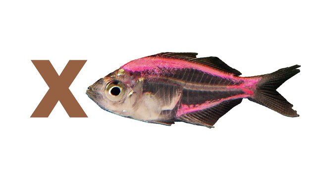 Un et un à un un à A b c d enfants pour est est est enfants garderie rimes chanson chansons Abc |