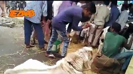 VID-20170706-WA0009[1]