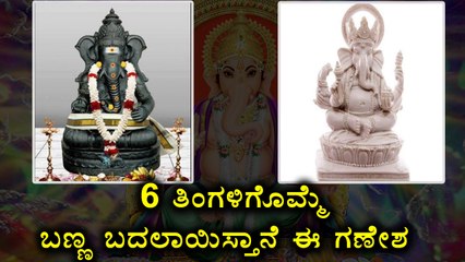 Tamilnadu : Ganesha Idol Changes Its Color Every 6 Months In This Temple | Oneindia Kannada