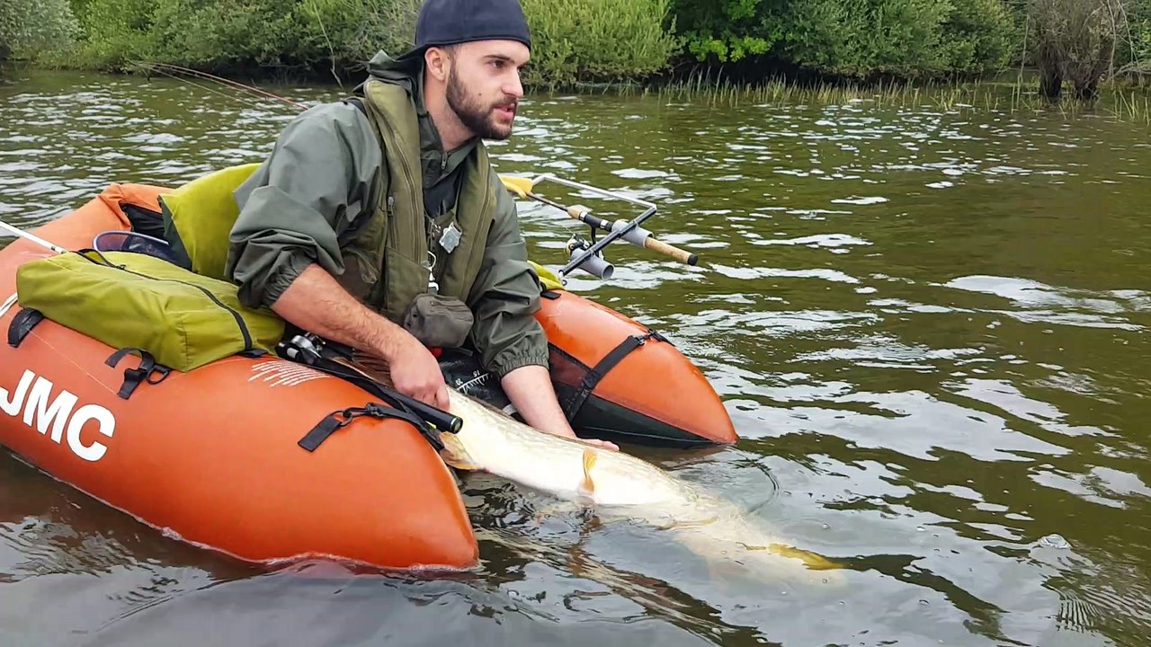 Remise à l'eau brochet