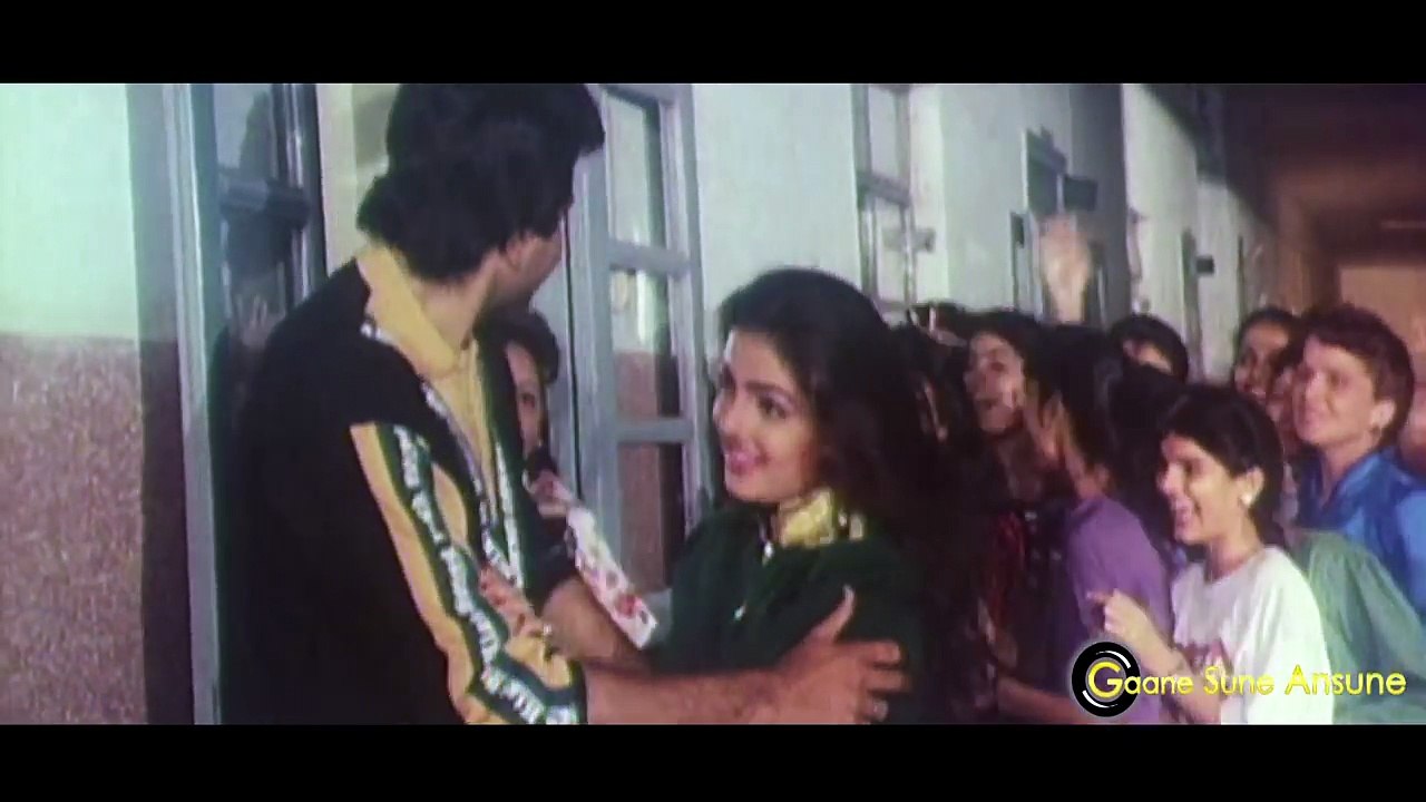 Maine Tujhe Dil Diya  Udit Narayan, Sarika Kapo...