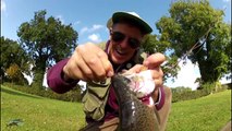 Simple Fly Fishing Tips for Catching Trout