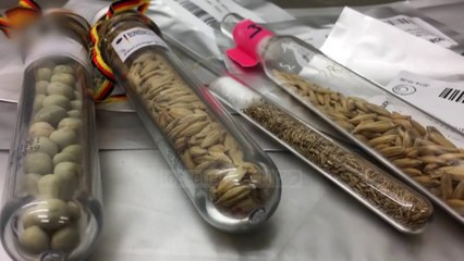 Rezerva e farave - Top Channel Albania - News - Lajme