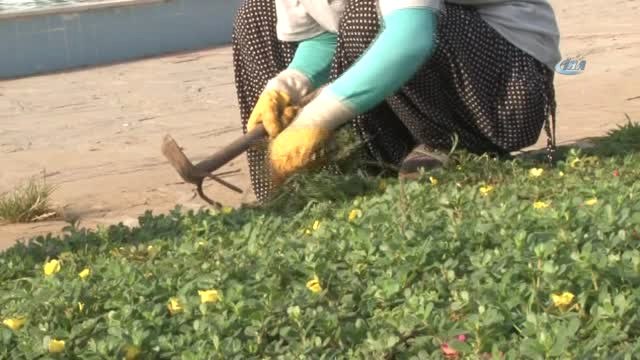 Adana'yı Güzelleştiren Kadınların Kavurucu Sıcakta Ekmek Mücadelesi