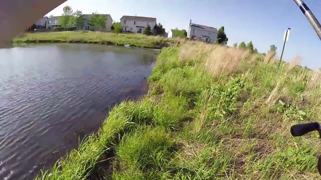 Fishing GIANT 10 Worms In Tiny Ponds