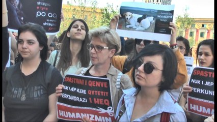 Keqtrajtimi kafshëve endacake, aktivistët protestojnë përpara bashkisë
