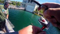 Bass Fishing CRYSTAL CLEAR Water