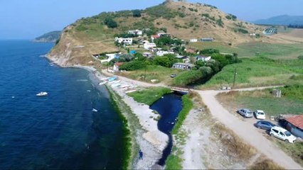 Bursa Sahillerinde İnsanlar Yerine Tavuk Pislikleri Yüzüyor