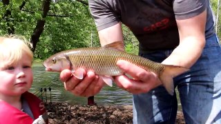 Tommy falls into river!!!!!!! Carp fishing in mud hole. Catch tons of fallfish