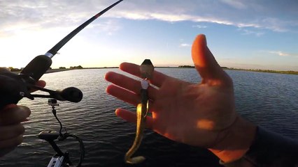 Fishing for STUBBORN Bass - MTB Challenge