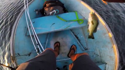 Summer Bass Fishing with Frogs and Worms