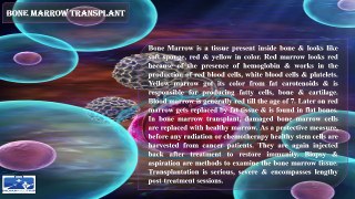 What is Bone Marrow Transplant